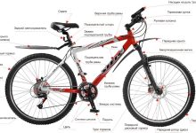 Photo of Особенности горных мужских велосипедов