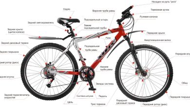Photo of Особенности горных мужских велосипедов